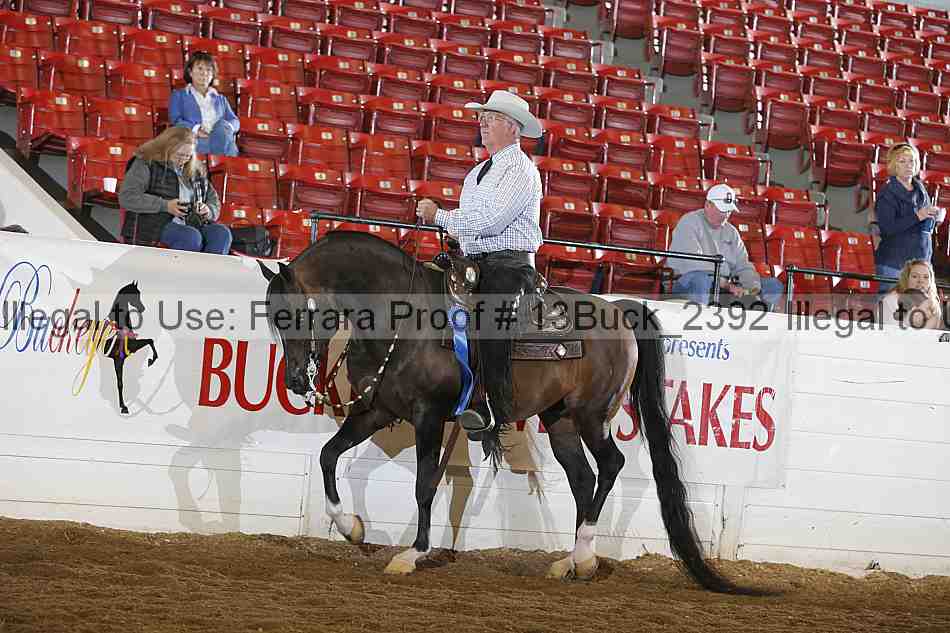 Proof Number 13buck_2392