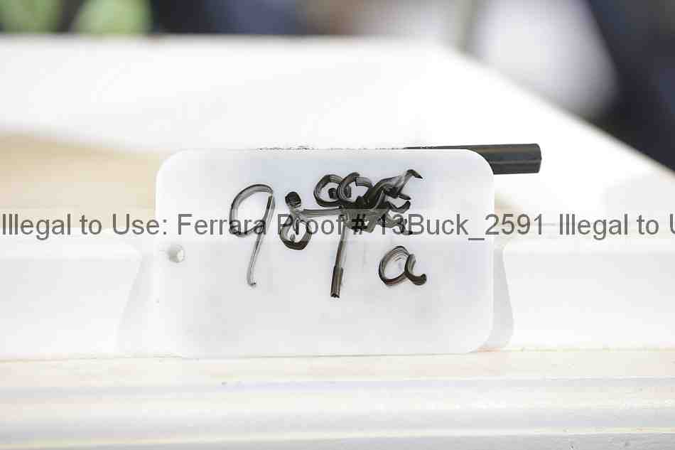 Proof Number 13buck_2591