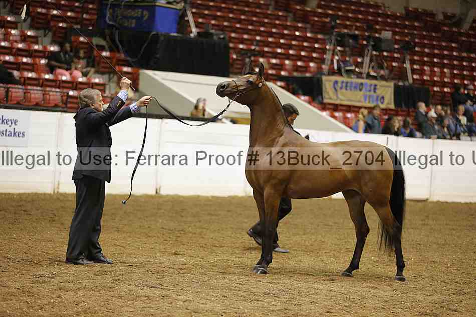 Proof Number 13buck_2704
