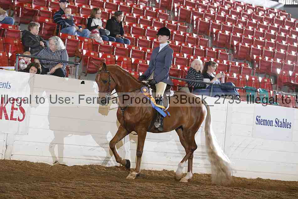 Proof Number 13buck_2733