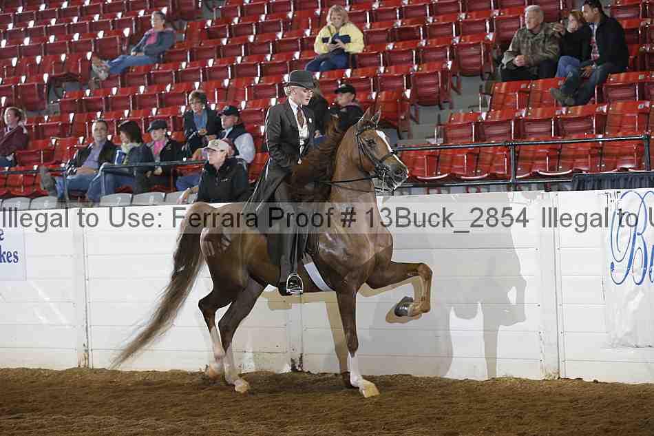 Proof Number 13buck_2854