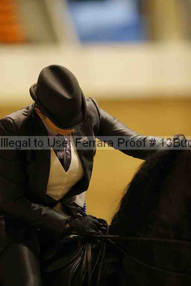 Proof Number 13buck_2874