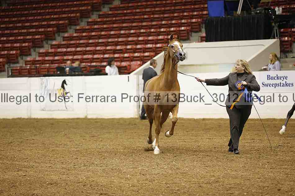 Proof Number 13buck_3012
