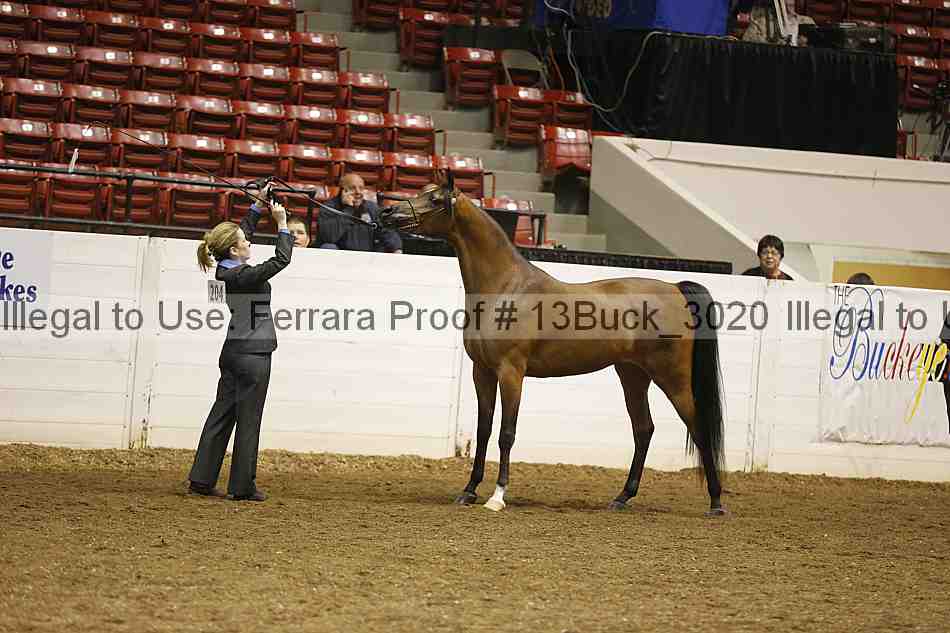 Proof Number 13buck_3020