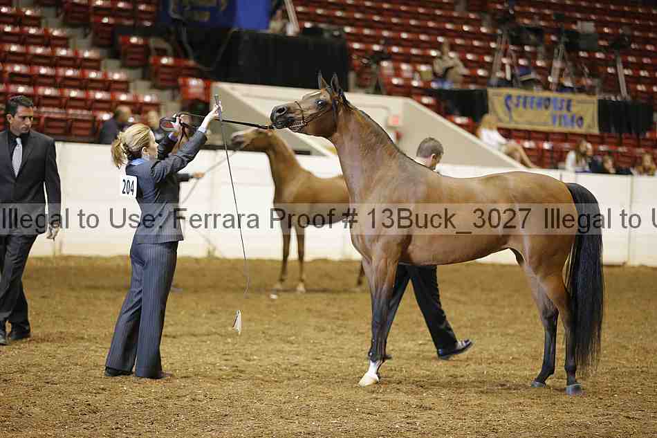 Proof Number 13buck_3027