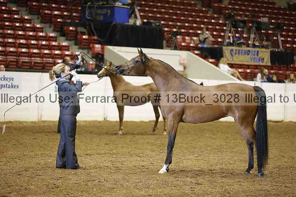 Proof Number 13buck_3028