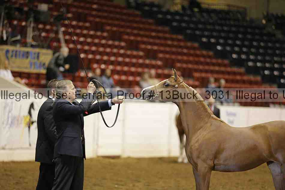 Proof Number 13buck_3031