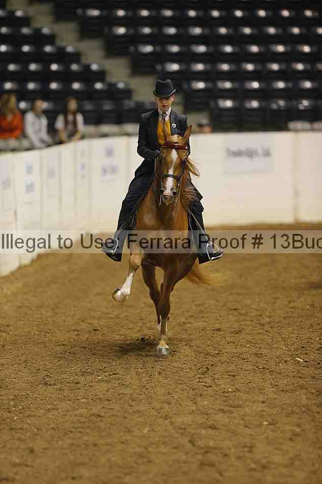 Proof Number 13buck_3057