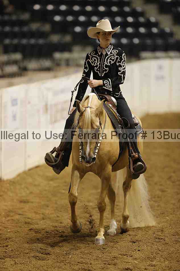 Proof Number 13buck_3095