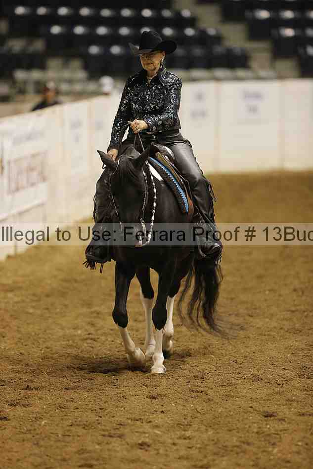Proof Number 13buck_3096