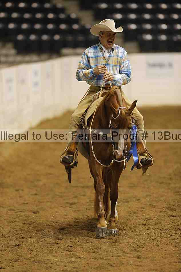 Proof Number 13buck_3122