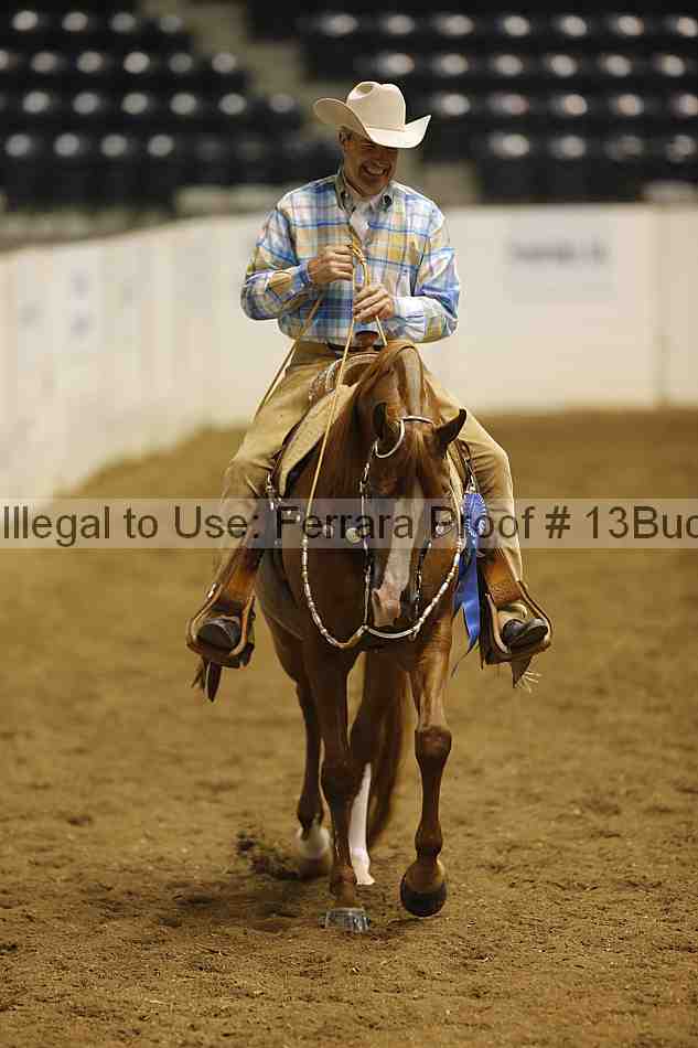 Proof Number 13buck_3123