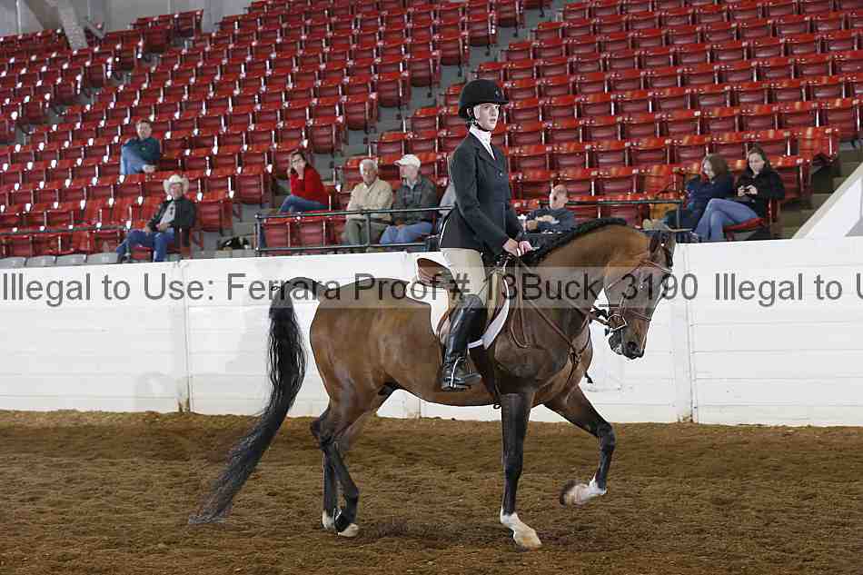 Proof Number 13buck_3190