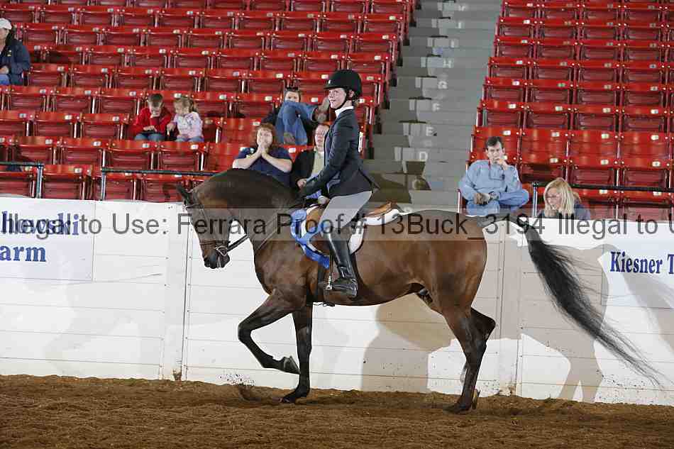 Proof Number 13buck_3194