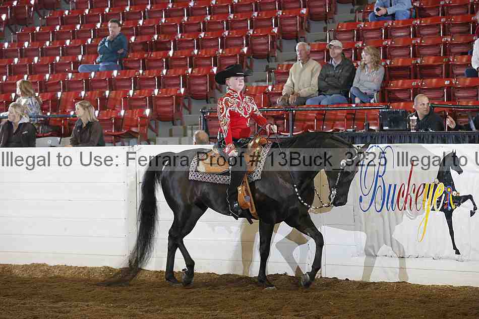 Proof Number 13buck_3225