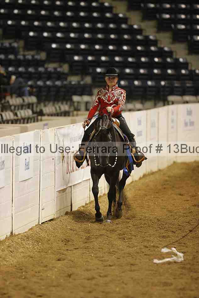 Proof Number 13buck_3241