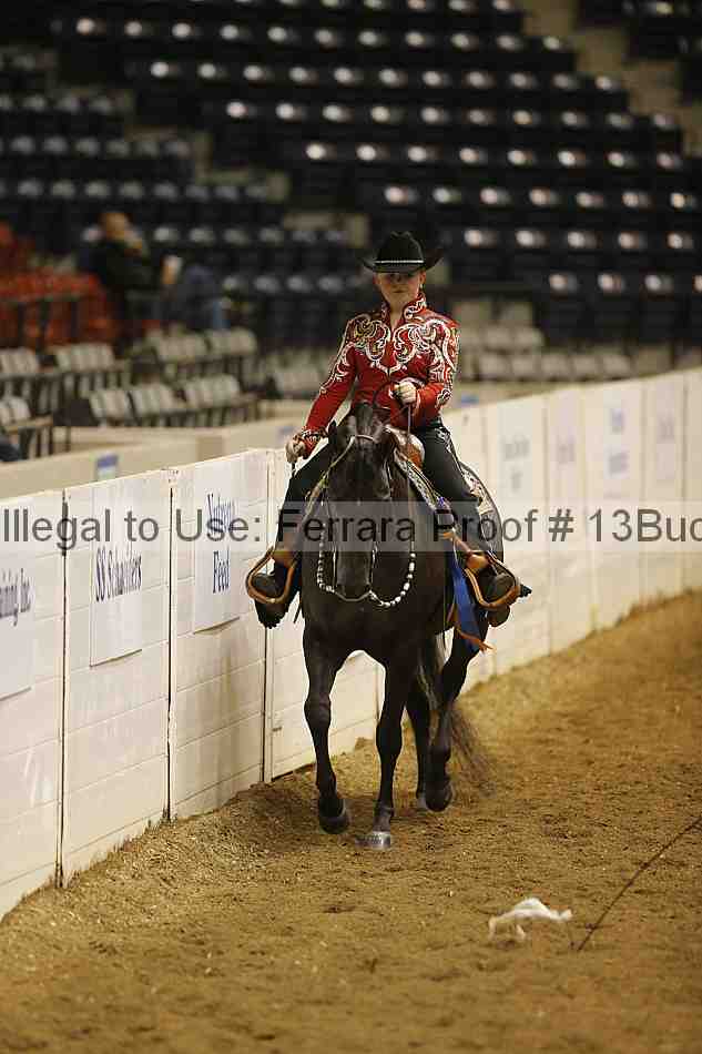 Proof Number 13buck_3242