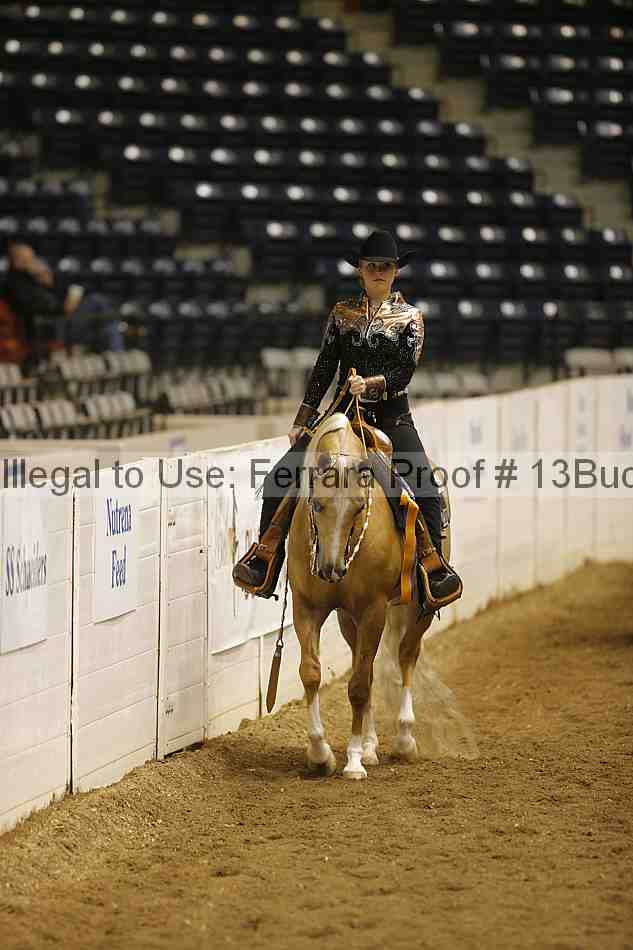 Proof Number 13buck_3246