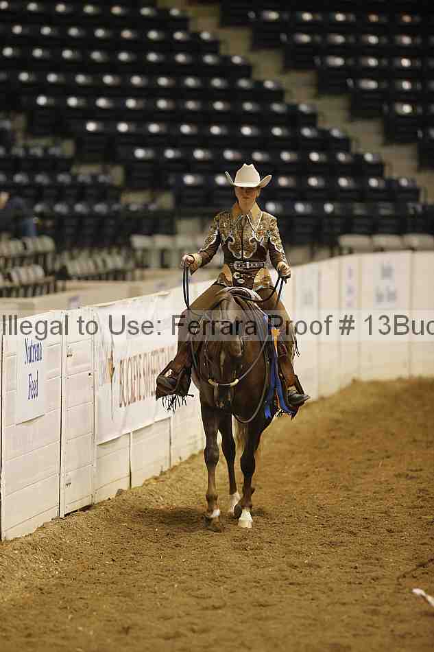 Proof Number 13buck_3248