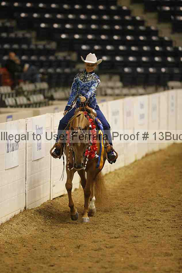 Proof Number 13buck_3255