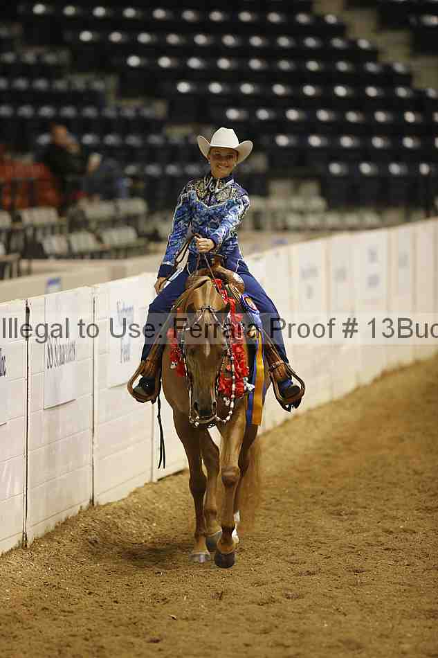 Proof Number 13buck_3256