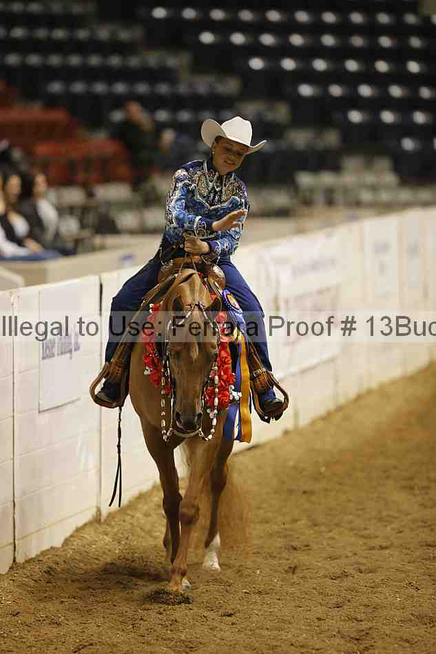 Proof Number 13buck_3257