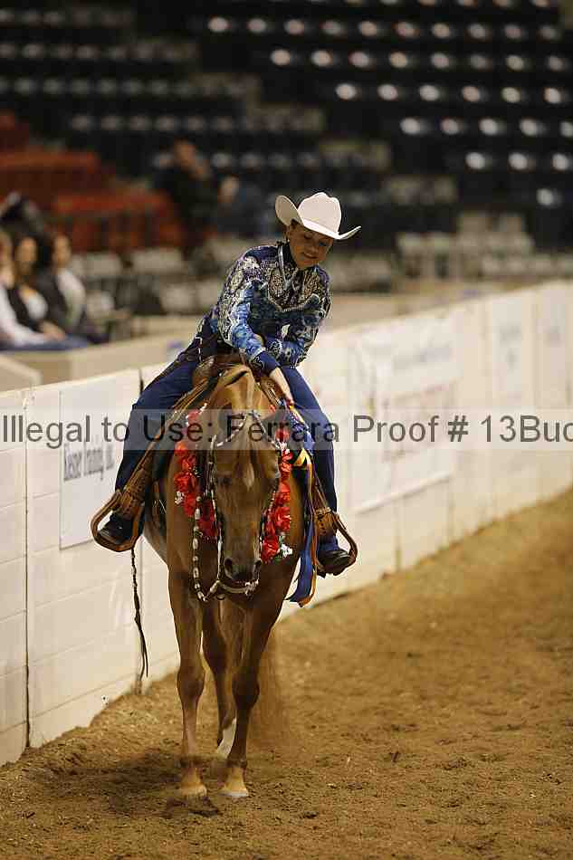 Proof Number 13buck_3258