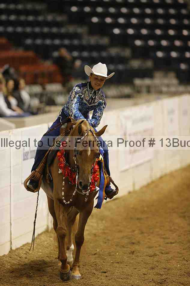 Proof Number 13buck_3261