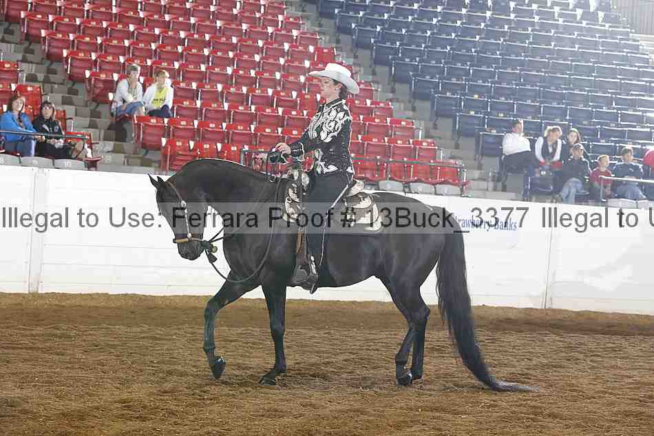 Proof Number 13buck_3377