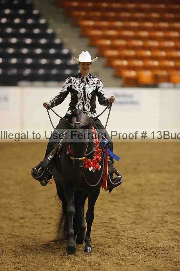 Proof Number 13buck_3387