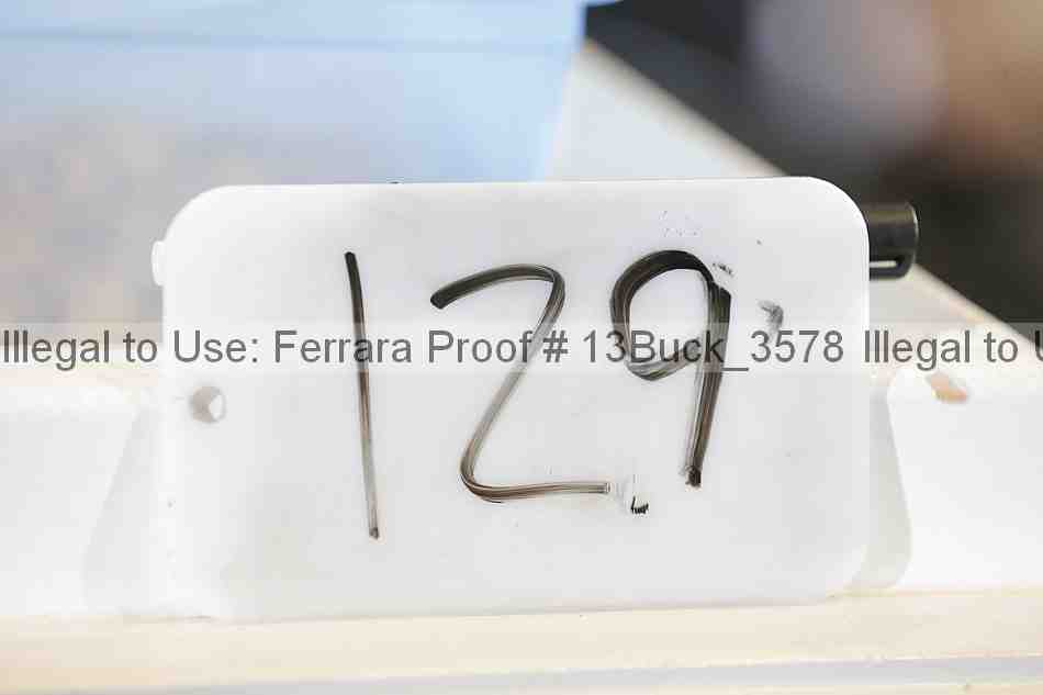 Proof Number 13buck_3578