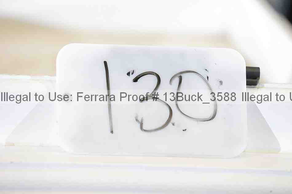 Proof Number 13buck_3588