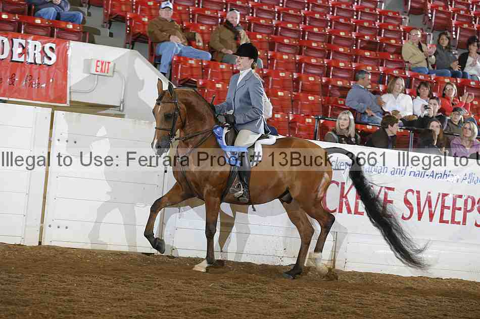 Proof Number 13buck_3661