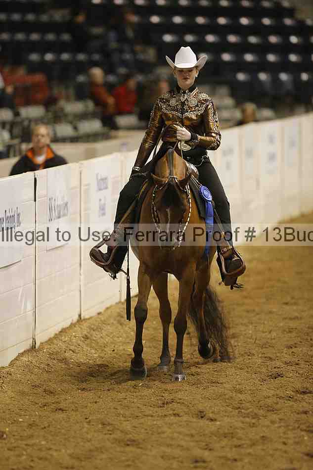 Proof Number 13buck_3669