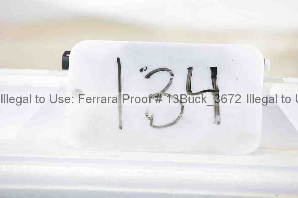 Proof Number 13buck_3672