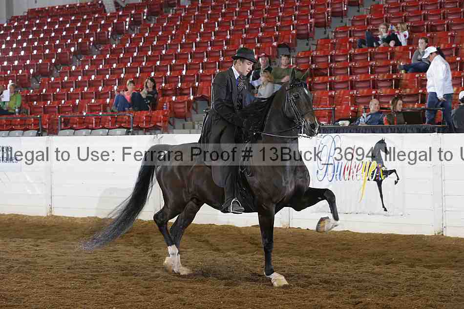 Proof Number 13buck_3694