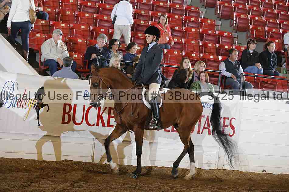 Proof Number 13buck_3725