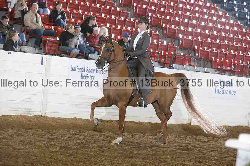 Proof Number 13buck_3755