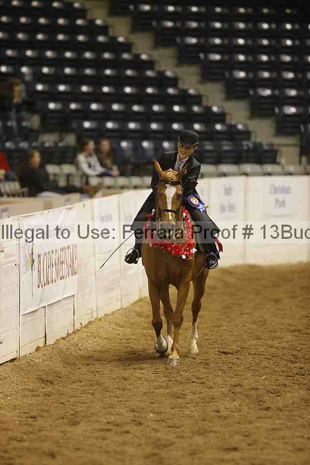 Proof Number 13buck_3796