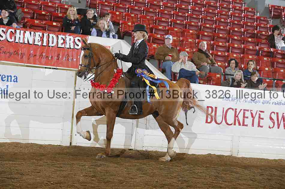 Proof Number 13buck_3826