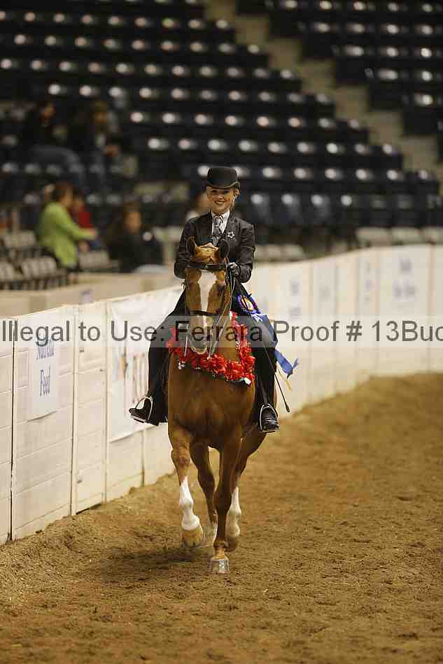 Proof Number 13buck_3830