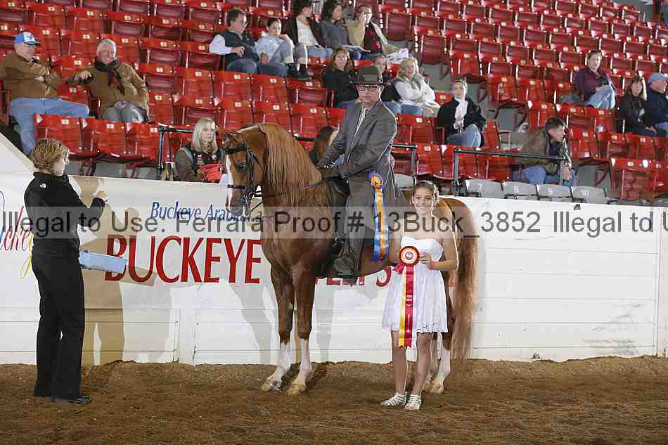 Proof Number 13buck_3852