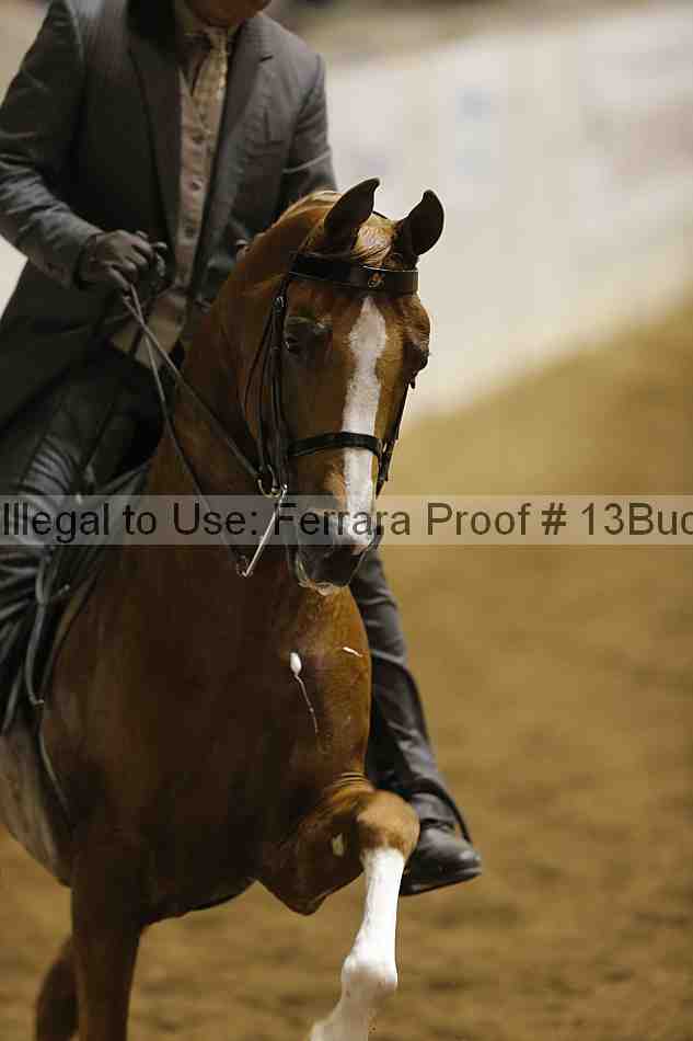 Proof Number 13buck_3859