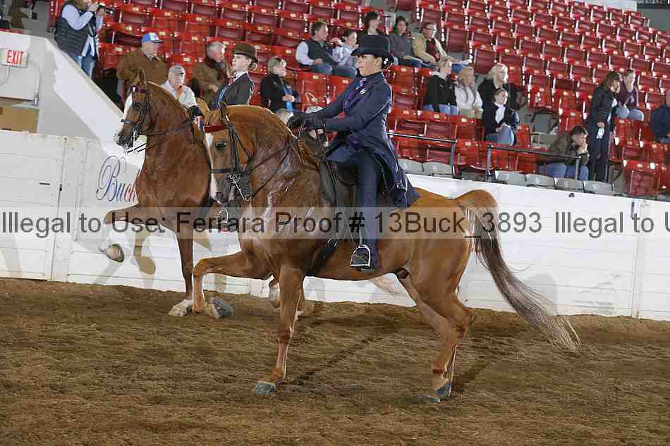 Proof Number 13buck_3893