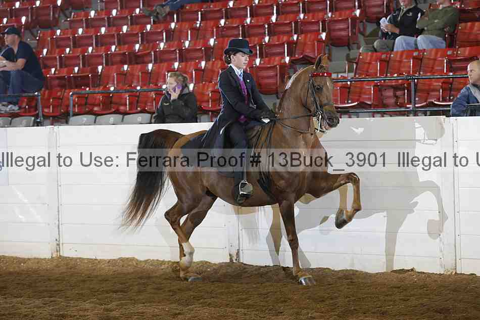 Proof Number 13buck_3901