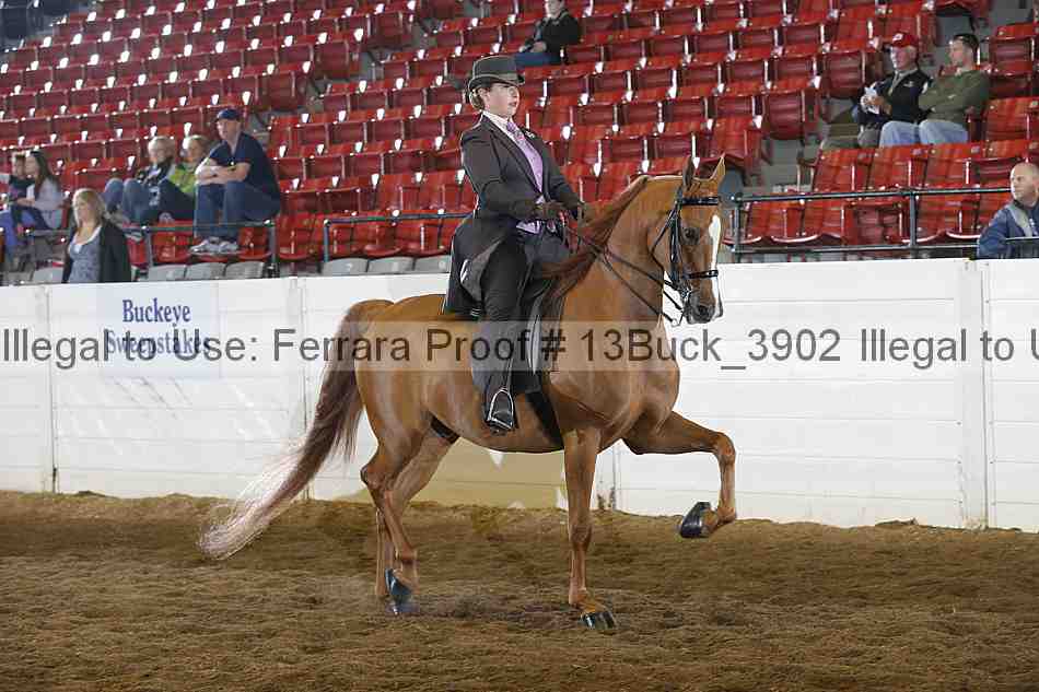 Proof Number 13buck_3902