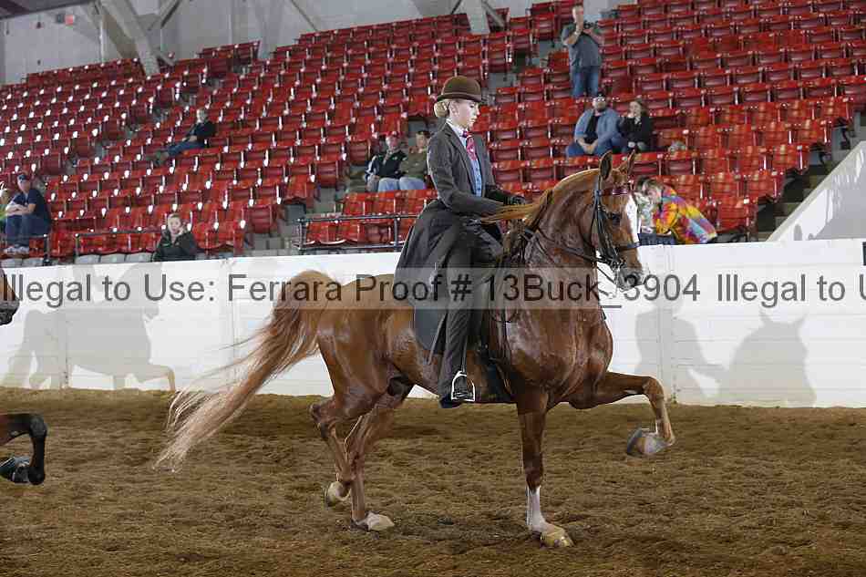 Proof Number 13buck_3904