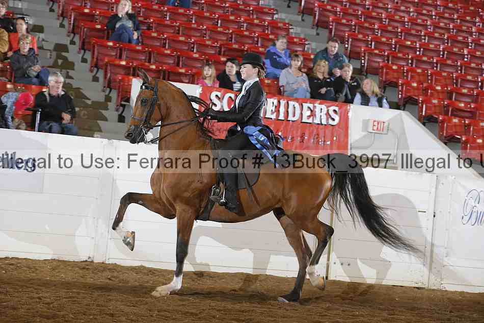 Proof Number 13buck_3907