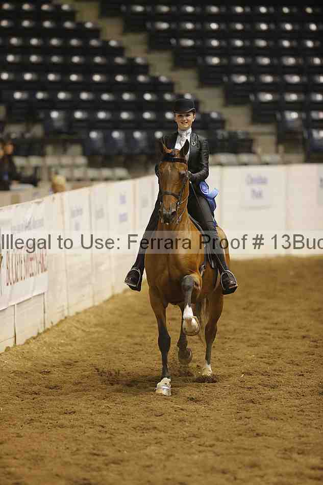 Proof Number 13buck_3909