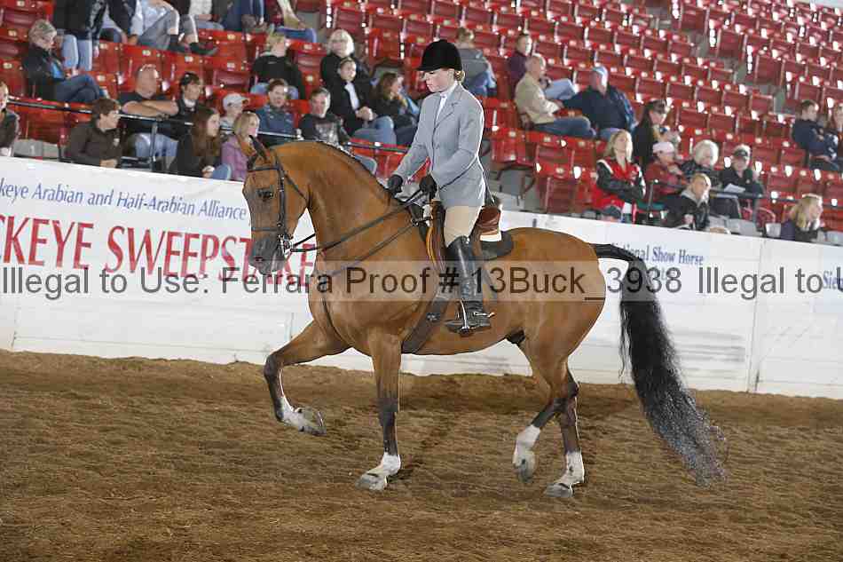 Proof Number 13buck_3938